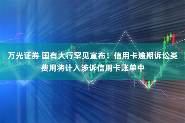 万光证券 国有大行罕见宣布!信用卡逾期诉讼类费用将计入涉诉信用卡账单中