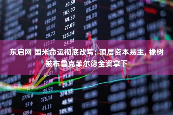 东启网 国米命运彻底改写: 顶层资本易主, 橡树被布鲁克菲尔德全资拿下